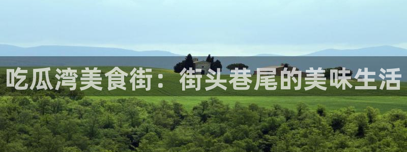 吃瓜湾美食街：街头巷尾的美味生活