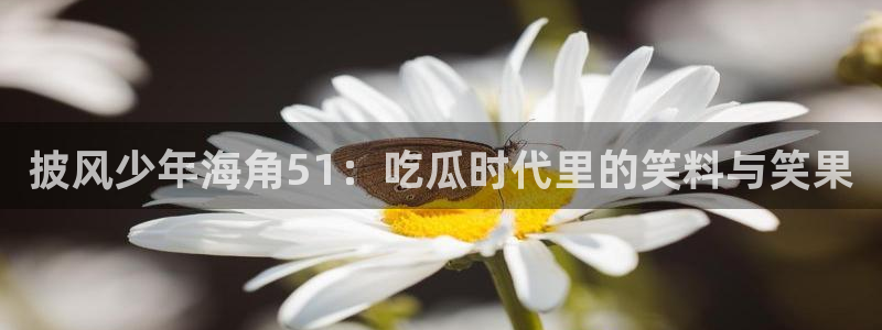 披风少年海角51：吃瓜时代里的笑料与笑果